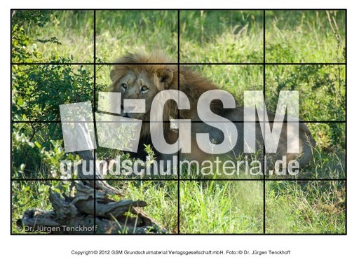 Puzzle-Löwe-1.pdf